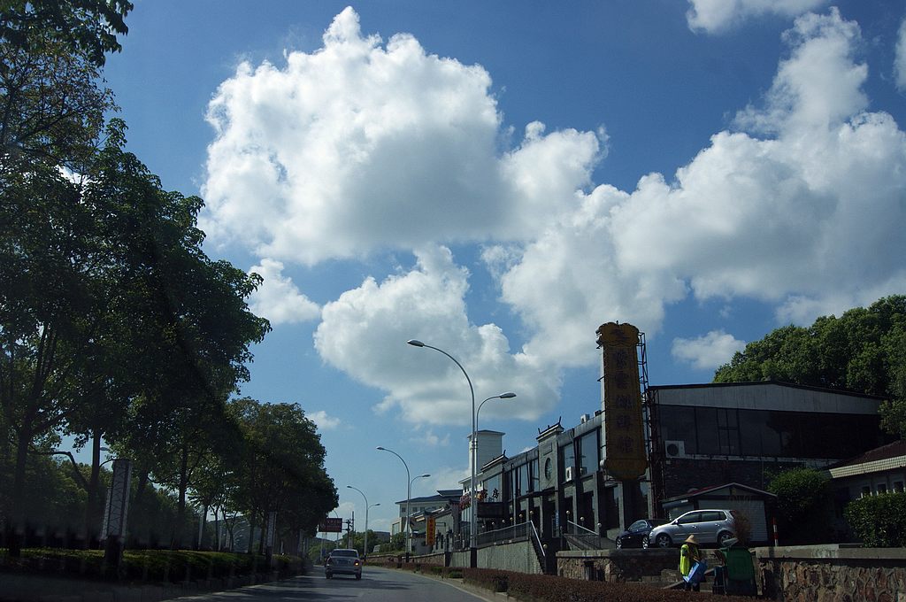 dsc01376.jpg