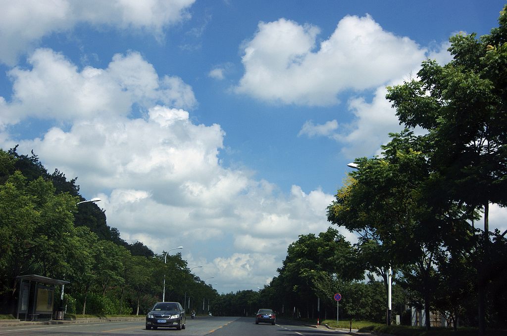 dsc01383.jpg