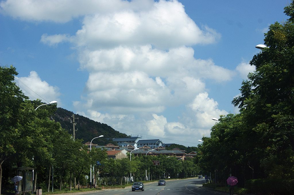 dsc01381.jpg