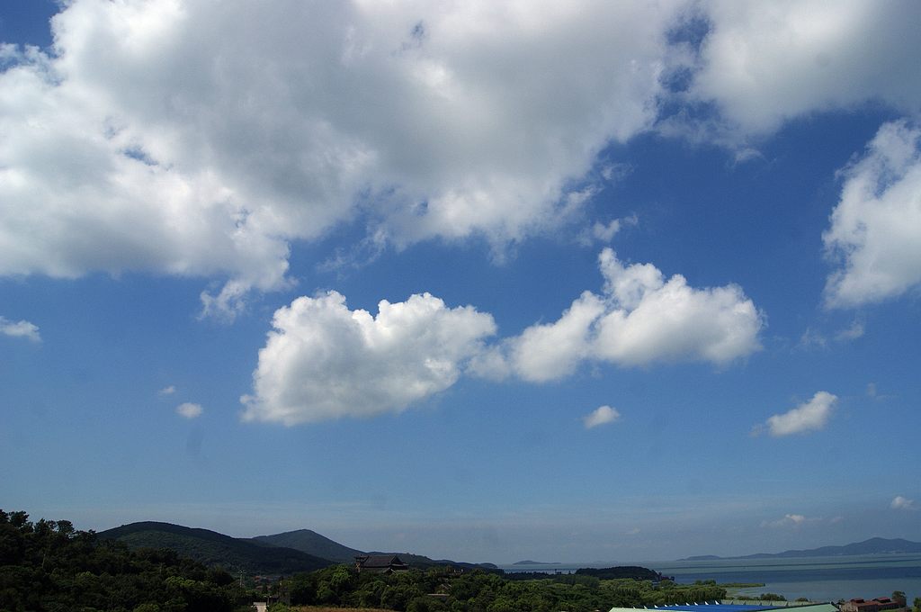 dsc01389.jpg