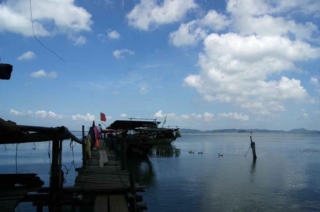 dsc01405.jpg