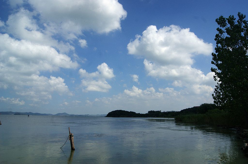 dsc01406.jpg