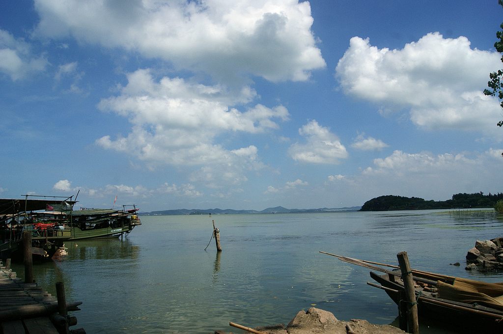 dsc01410.jpg
