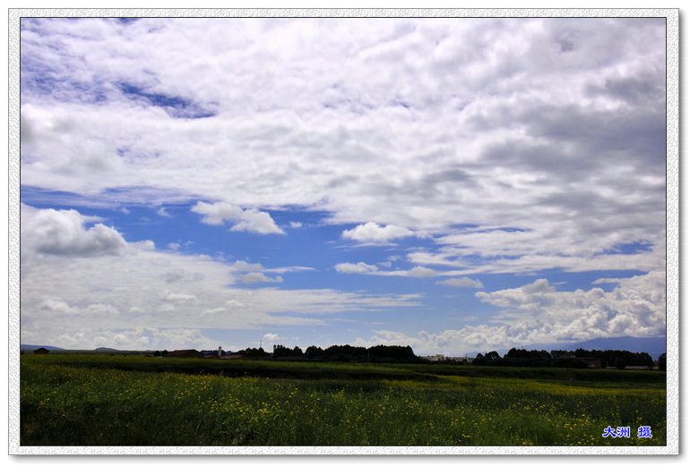 dsc_1467.jpg
