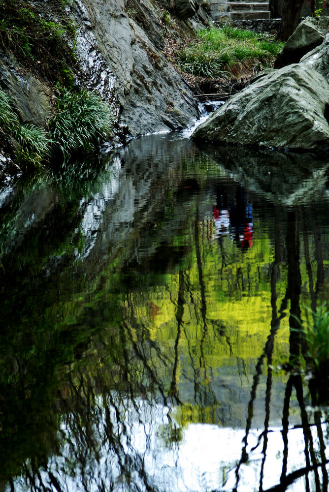 dsc_7923176.jpg