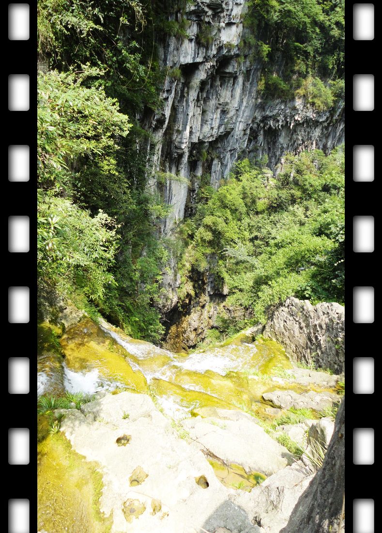 neo_img_dsc08902.jpg