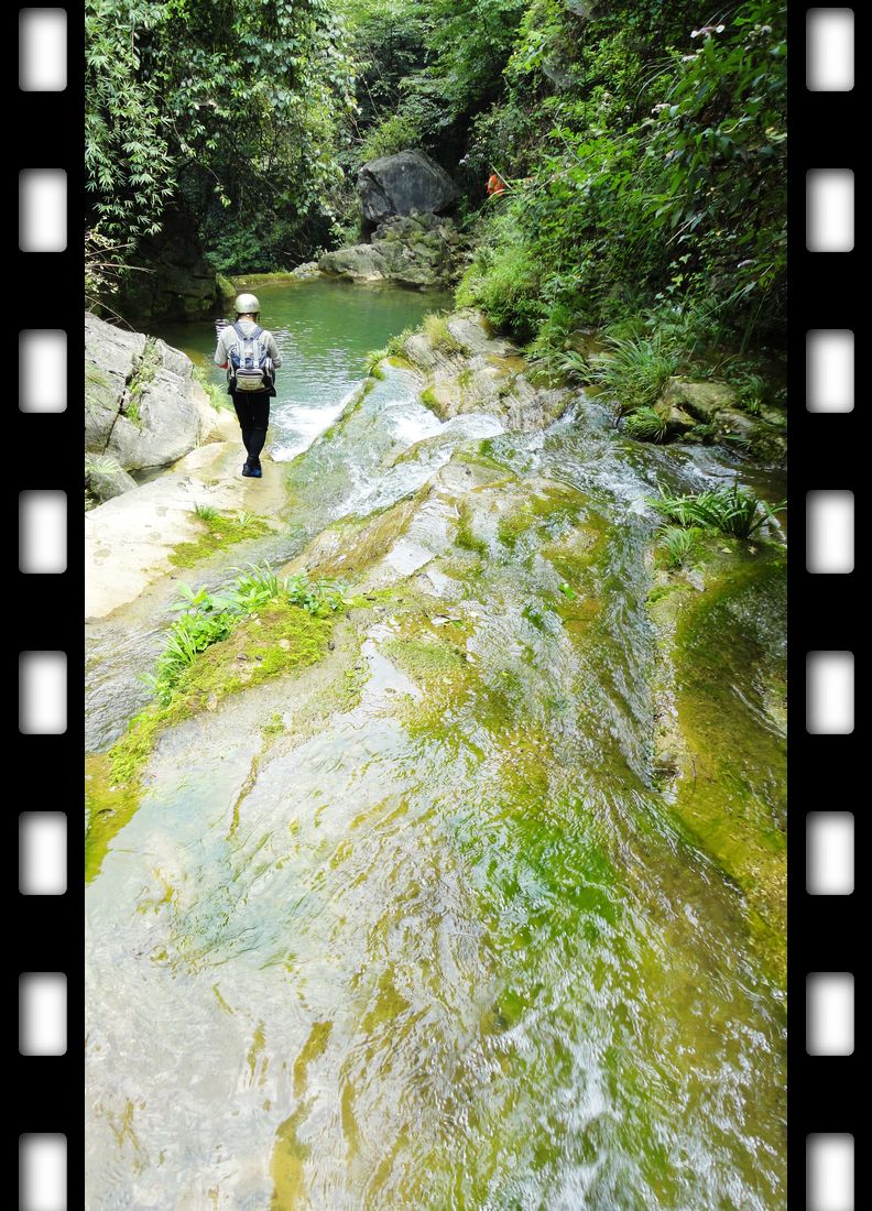 neo_img_dsc08909.jpg