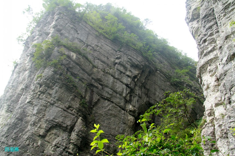 conew_img_0092.jpg