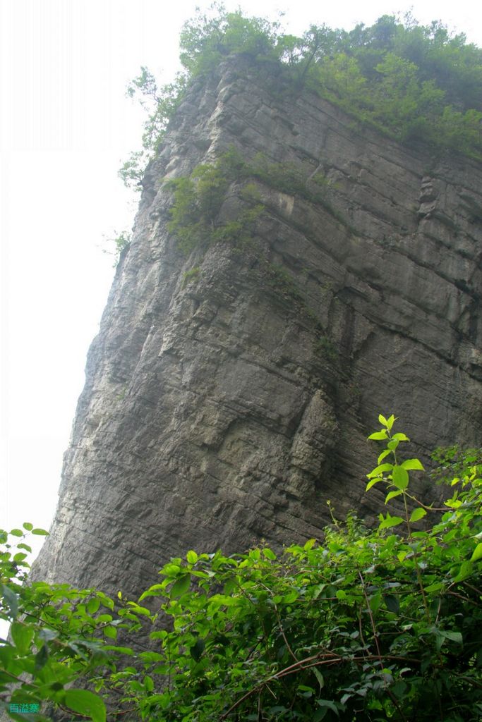 conew_img_0091.jpg