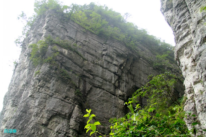 conew_img_0093.jpg