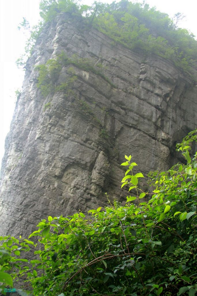 conew_img_0094.jpg