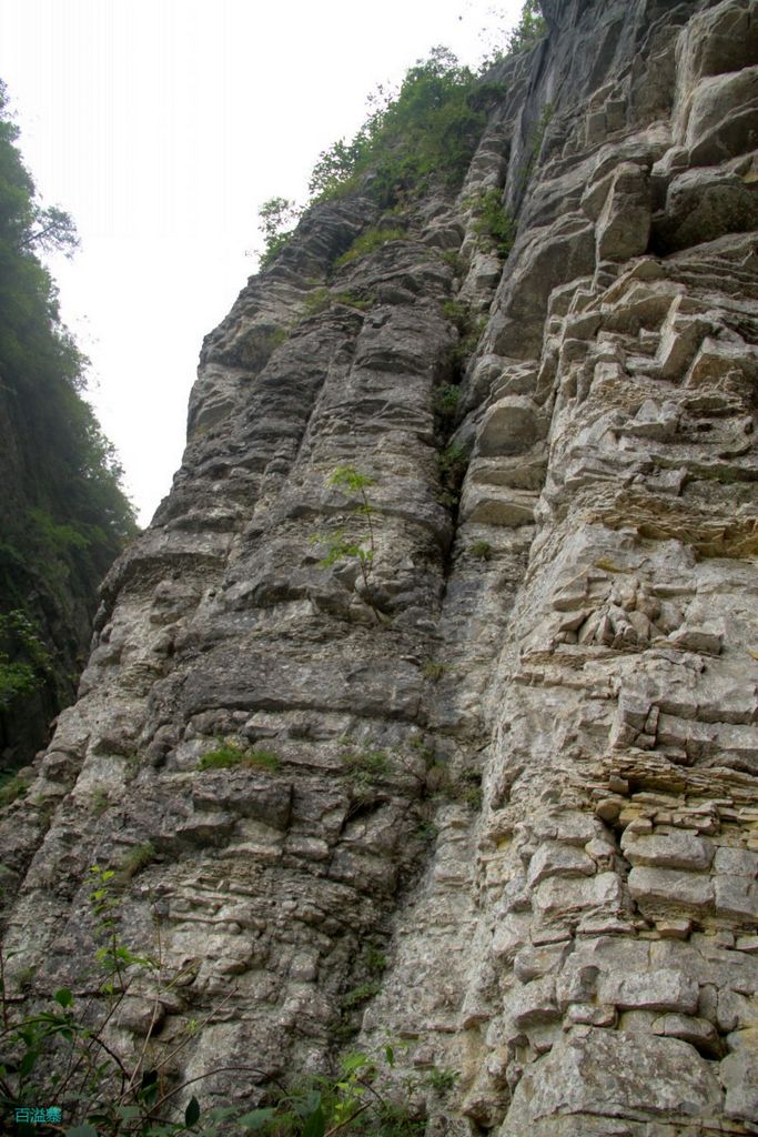 conew_img_0095.jpg