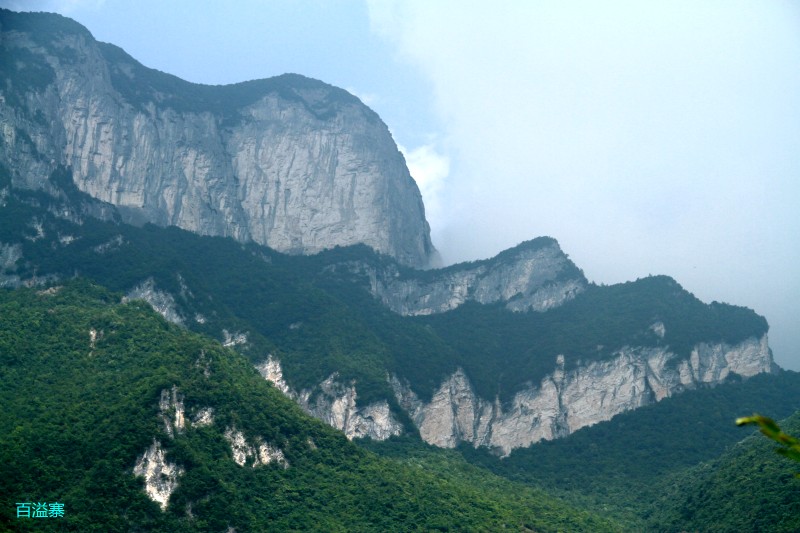conew_img_0155.jpg
