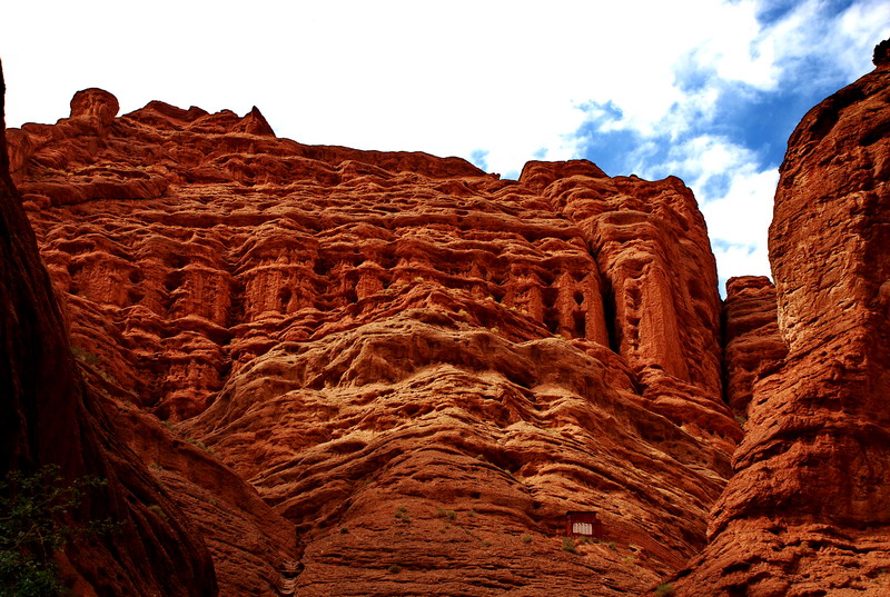 dsc_4975.jpg