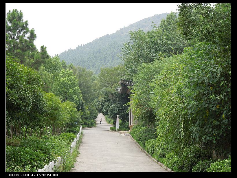 dscn1123.jpg
