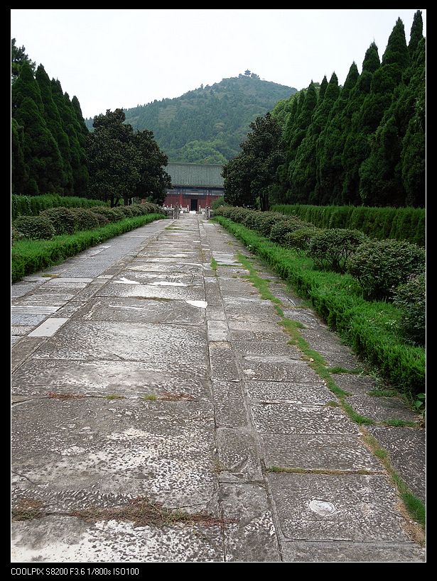 dscn1133.jpg