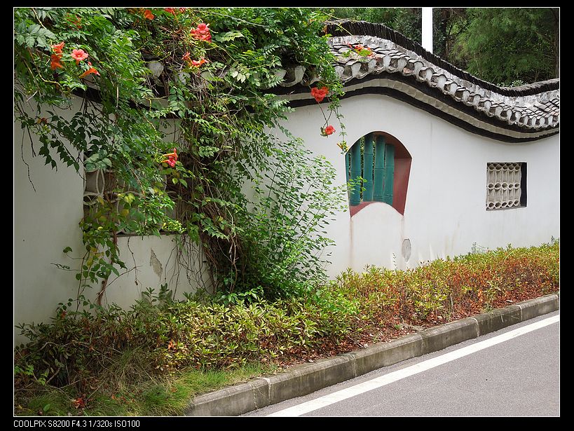 dscn1119.jpg