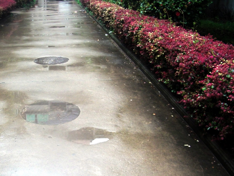 dscf0700.jpg