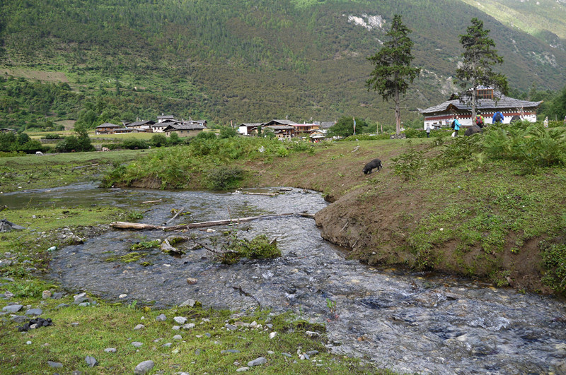 p1050309_.jpg