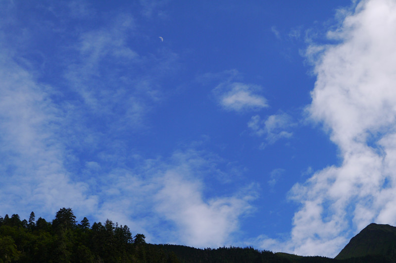 p1050317_.jpg