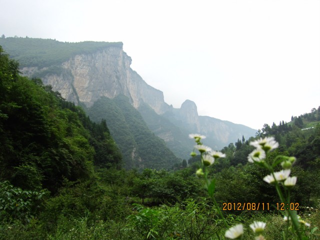 img_9001.jpg