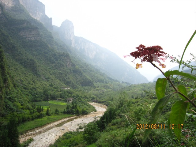 img_9022.jpg