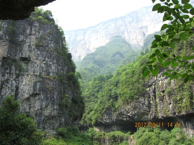 img_9100.jpg