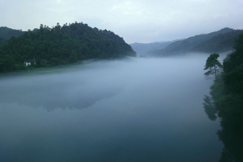 dsc06325.gif