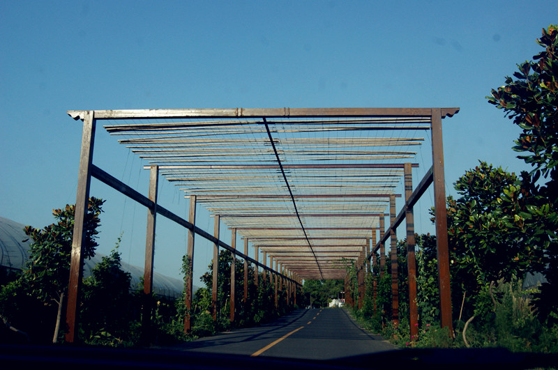 dsc01434_.jpg