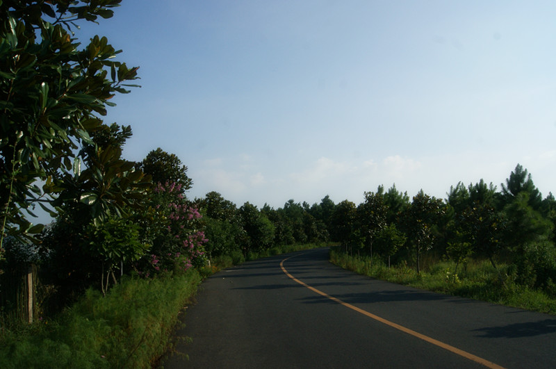 dsc01433_.jpg
