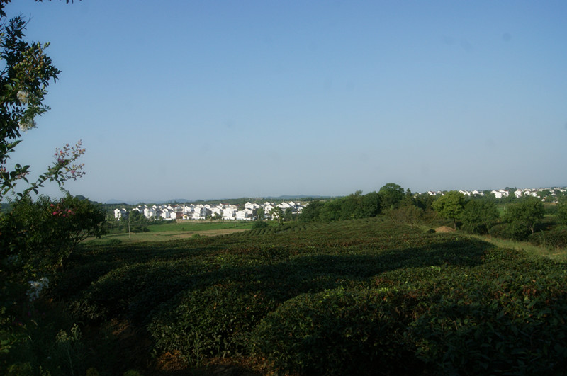 dsc01436_.jpg