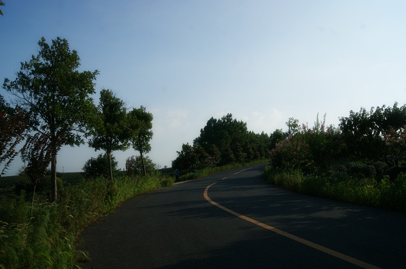 dsc01435_.jpg