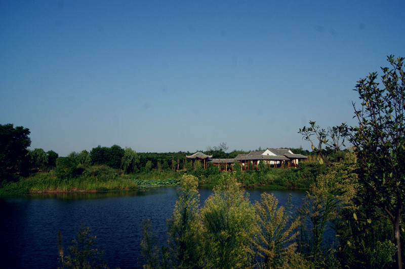 dsc01452_.jpg