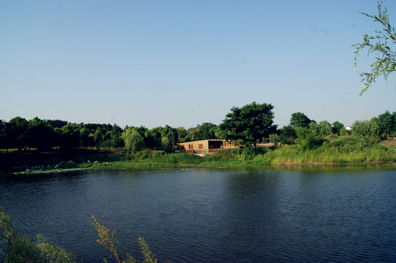 dsc01451_.jpg