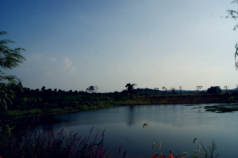 dsc01453_.jpg