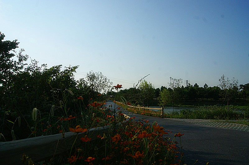 dsc01458_.jpg