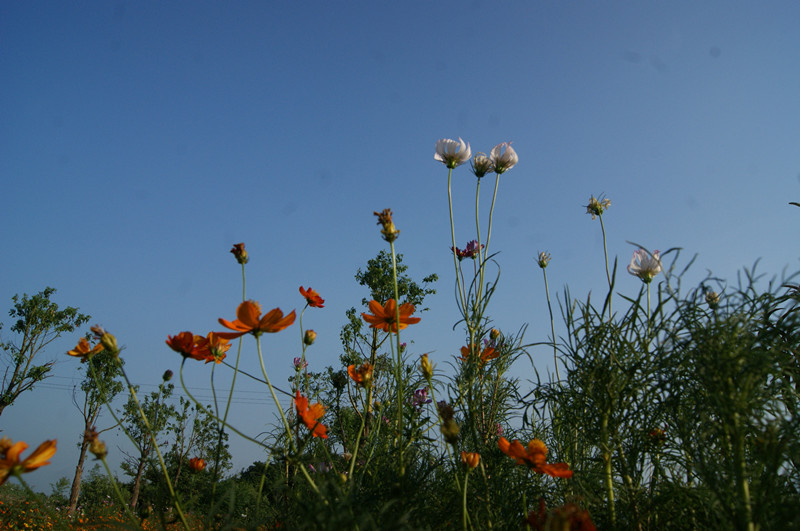 dsc01463_.jpg