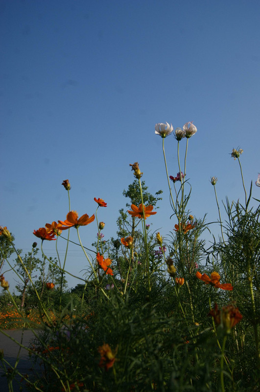 dsc01464_.jpg
