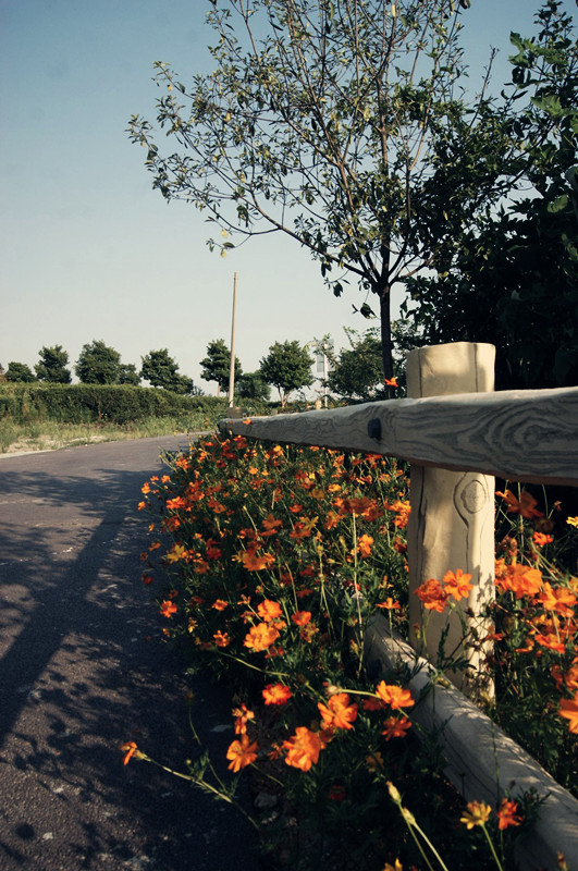 dsc01457_.jpg