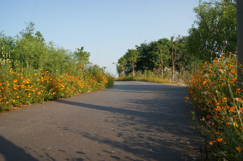 dsc01465_.jpg