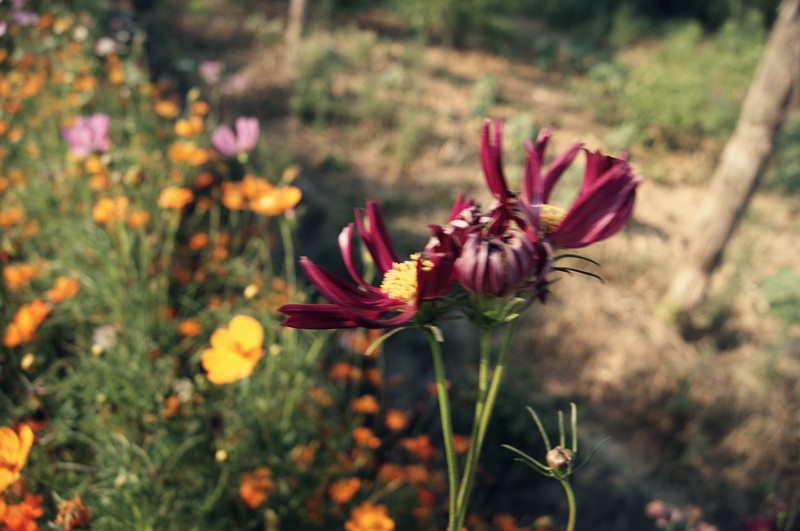 dsc01469_.jpg