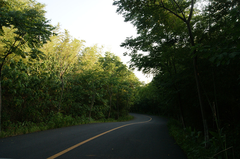 dsc01477_.jpg