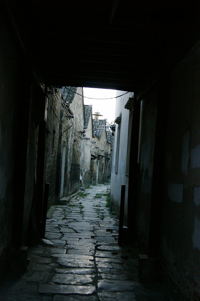 dsc01487.jpg