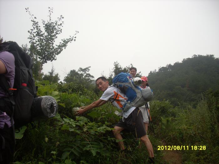 52_183033_1cd2214ba1653e9.jpg