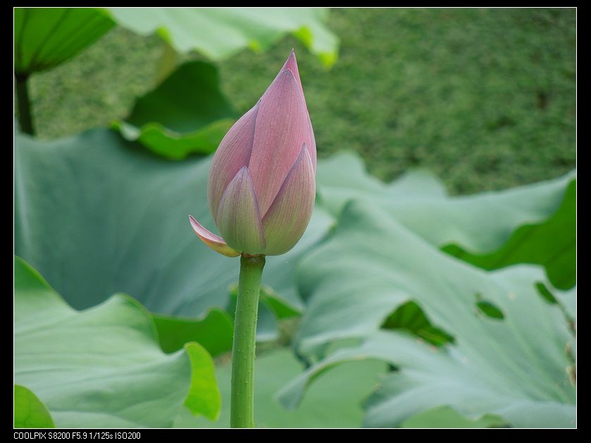 dscn1180.jpg