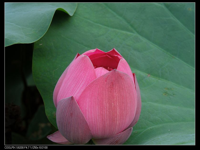 dscn1211.jpg