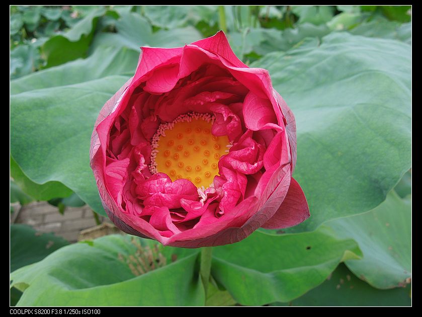 dscn1216.jpg
