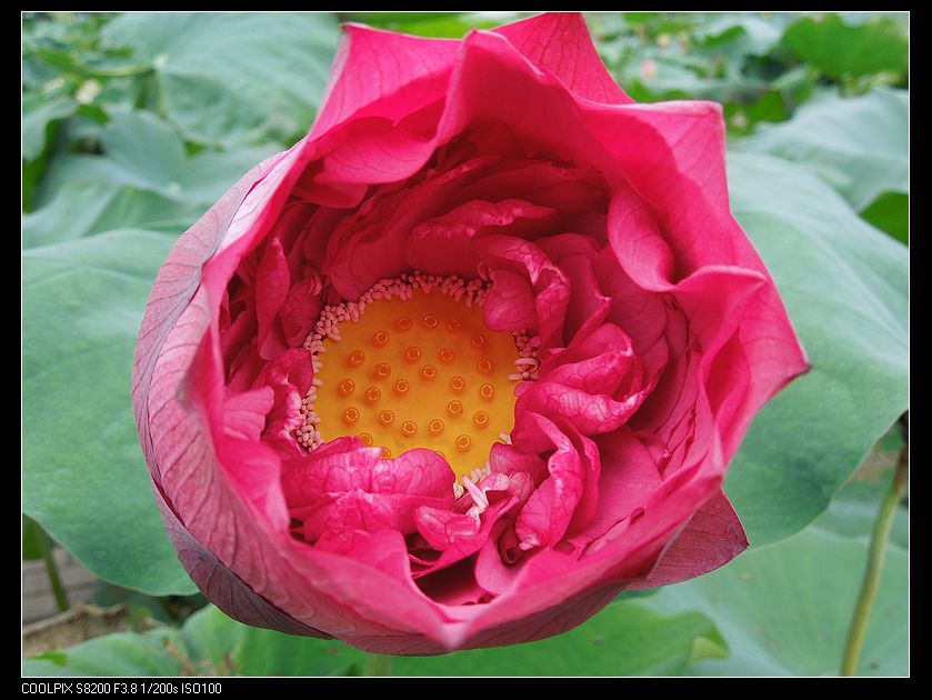 dscn1223.jpg