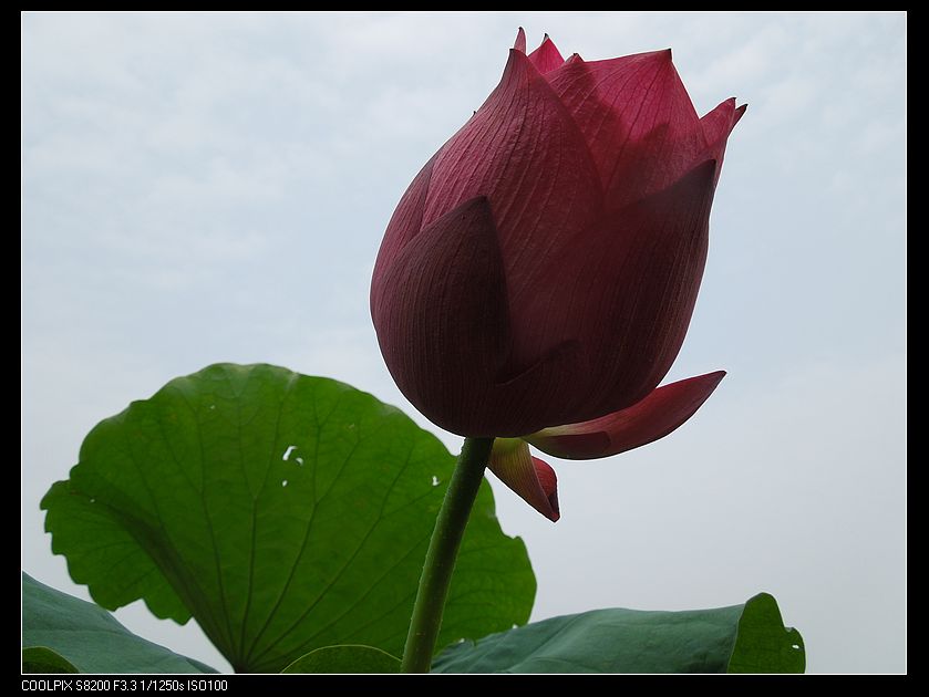 dscn1225.jpg