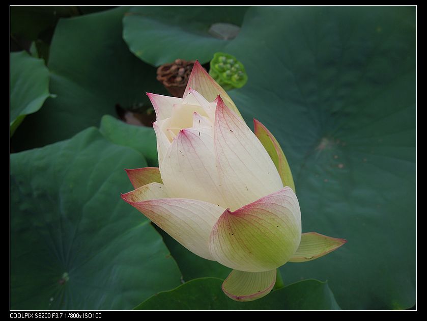 dscn1230.jpg